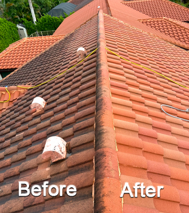 Surface Clean Pressure & Softwash, Roof Pressure Cleaning (Before-After)